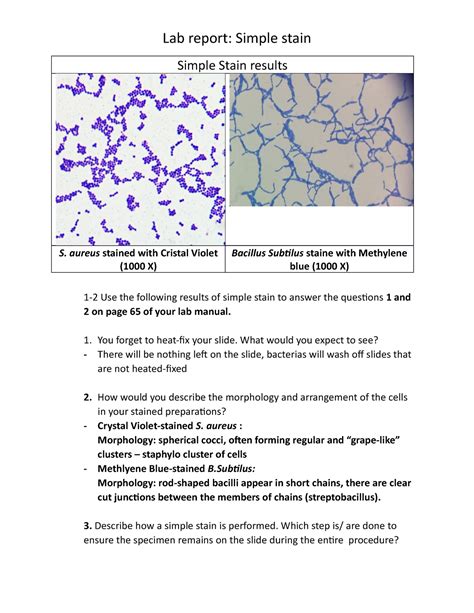 e coli simple stain|simple stain lab report.